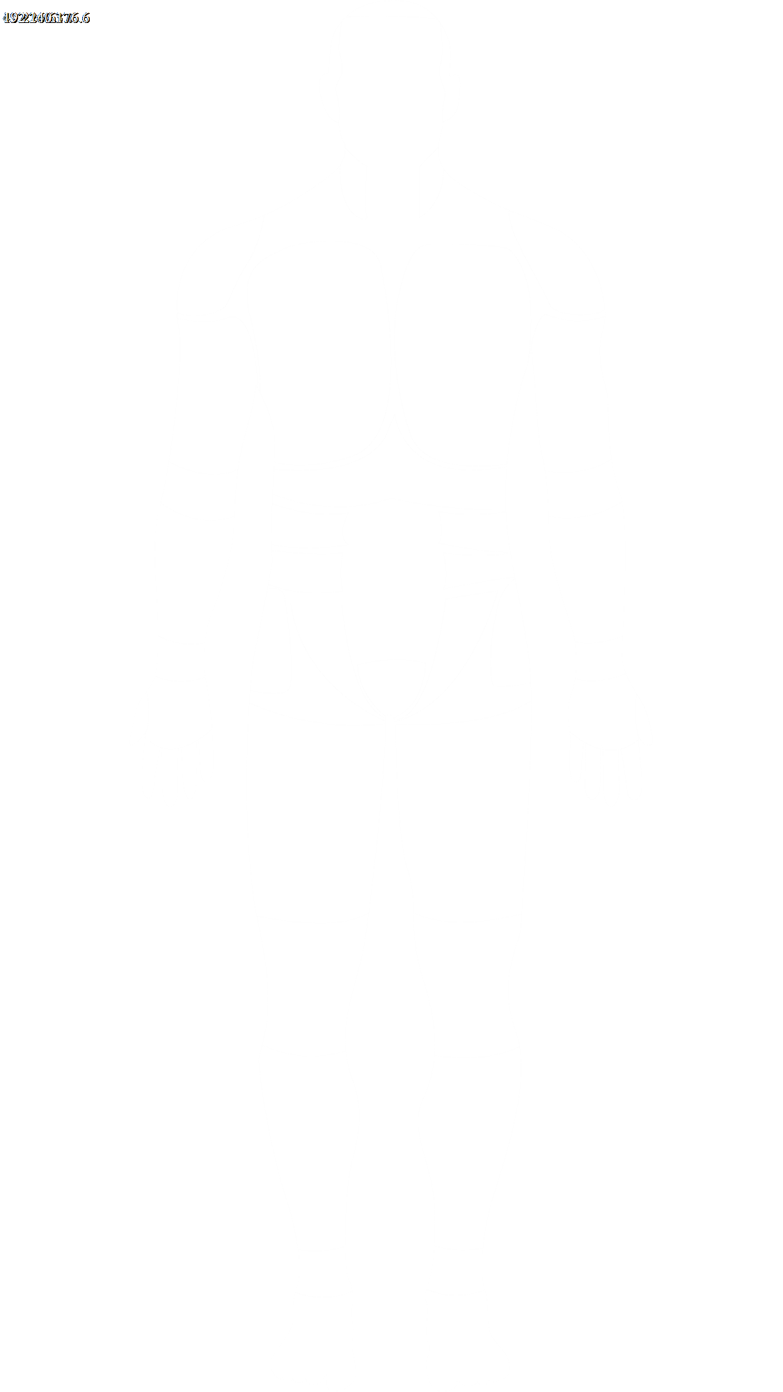 人体模型